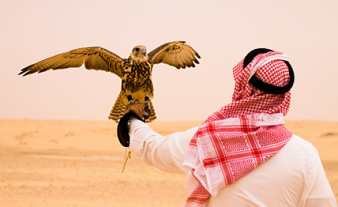 三分鐘帶你了解沙特SASO-SABER在線認證系統(tǒng)