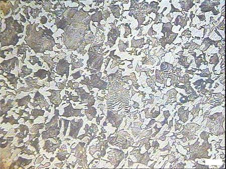 金相分析標(biāo)準(zhǔn)大全