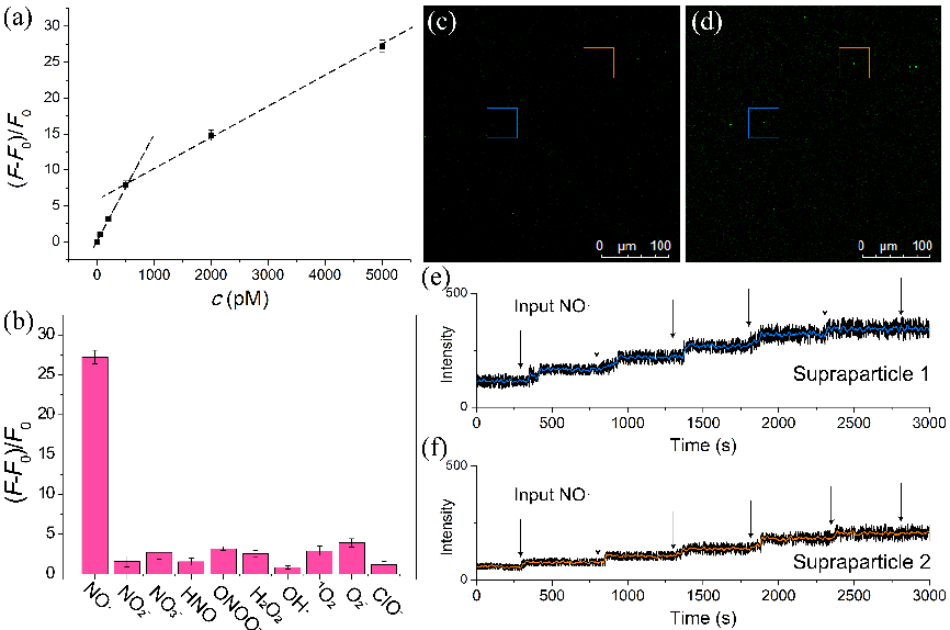 北測圖南研究院在功能性材料研制及疾病診斷領域取得重要進展
