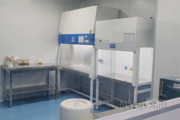 口罩無紡布生物相容性檢測報告