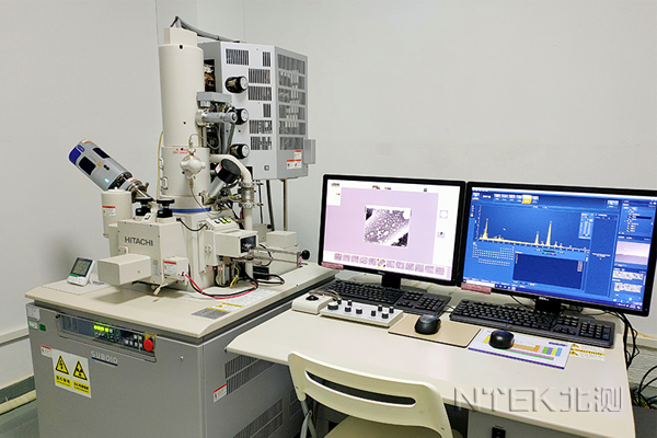 掃描電鏡SEM觀察